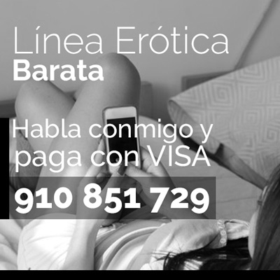 Linea barata VISA